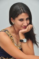 Manisha Gallery